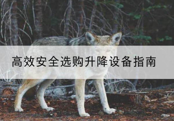 金华升降货梯厂家推荐-*安全选购升降设备指南