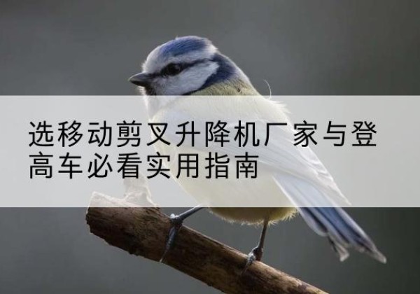 金华电动升降机厂家-选移动剪叉升降机厂家与登高车必看实用指南
